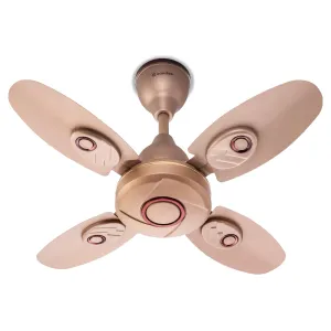 Candes Nexo 600 mm /24 inch High Speed Ceiling Fan | BEE Star Rated, High Air Delivery & Energy Saving | Small Fan for Kitchen, Balcony & Small Room | 1 1 Year Warranty | Golden